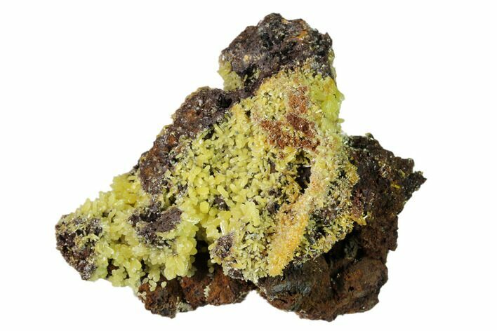 Mimetite Crystal Clusters on Limonitic Matrix - Mexico #157137